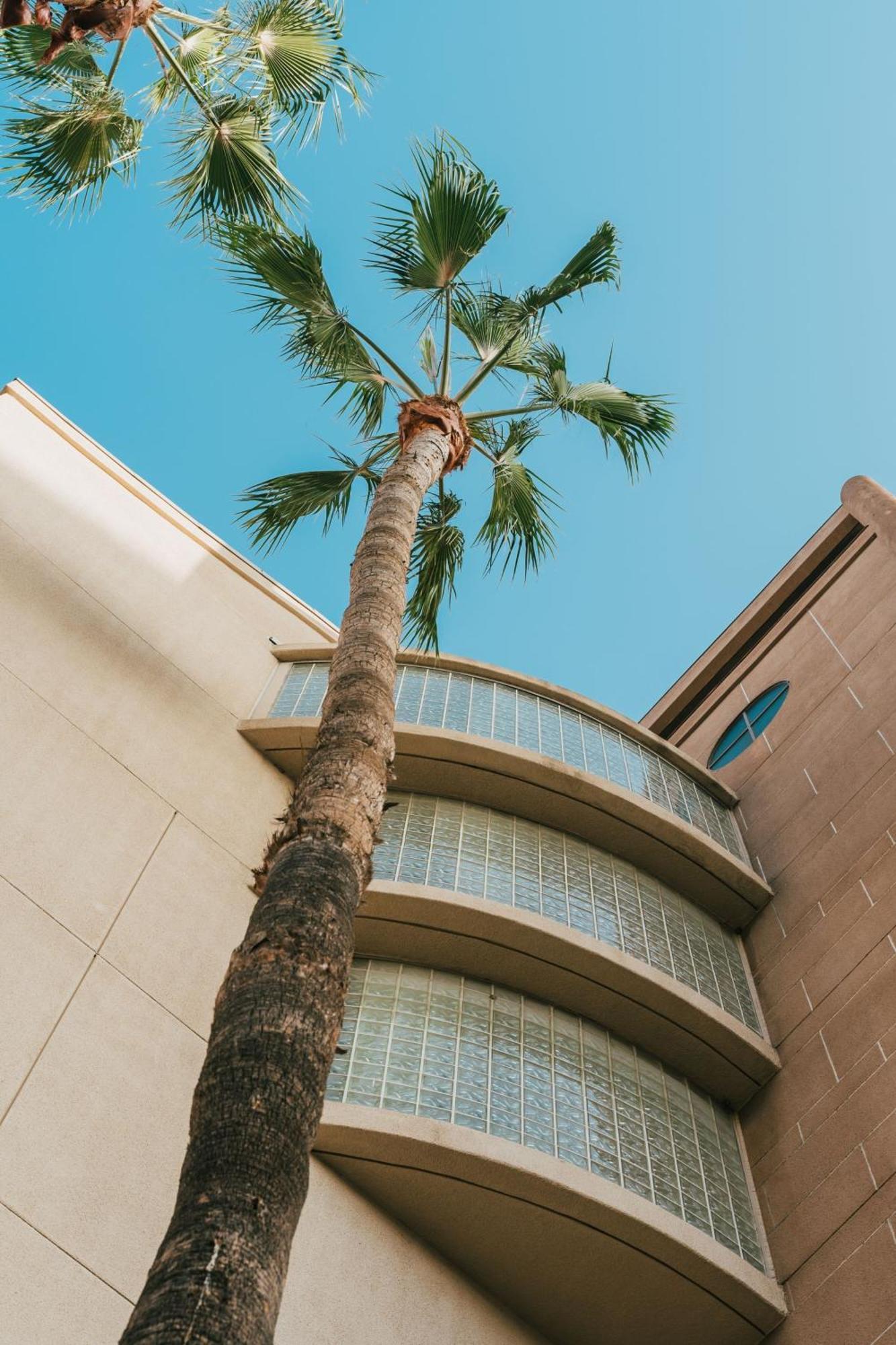 Courtyard By Marriott Los Angeles Lax / Century Boulevard Ngoại thất bức ảnh